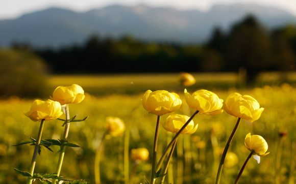 30周岁生日朋友圈 【30周岁生日朋友圈文案怎么写】