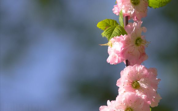 初三的励志语录 【初三励志语录唯美文案】