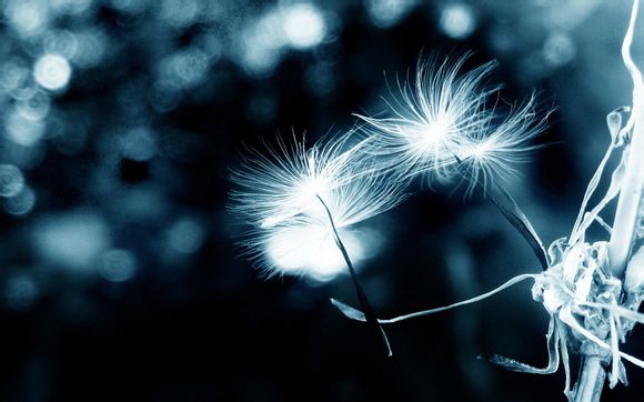 幽默搞笑短句
 【离职幽默搞笑短句】