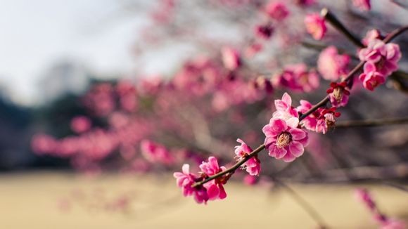 幸福的签名短句
 【幸福签名短句霸气】